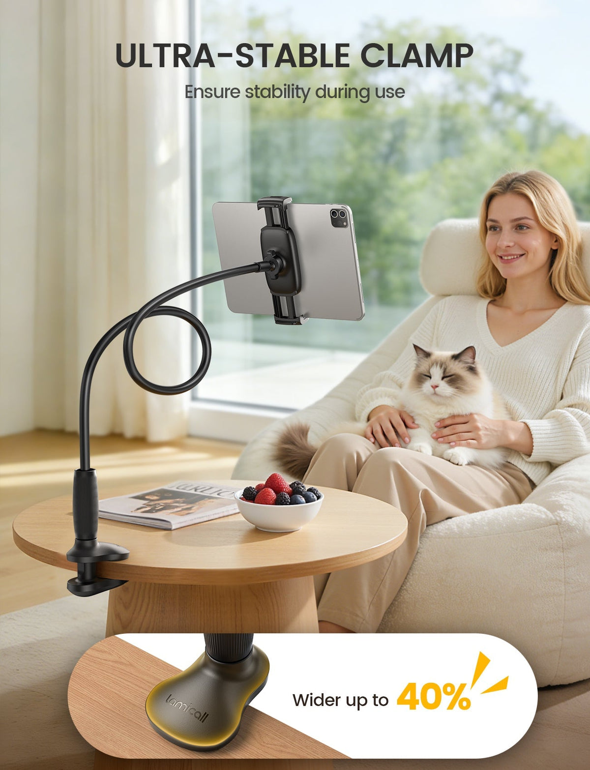 Mounts & Holders